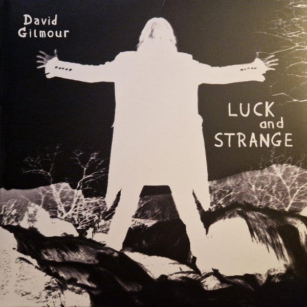 DAVID GILMOUR - LUCK AND STRANGE
