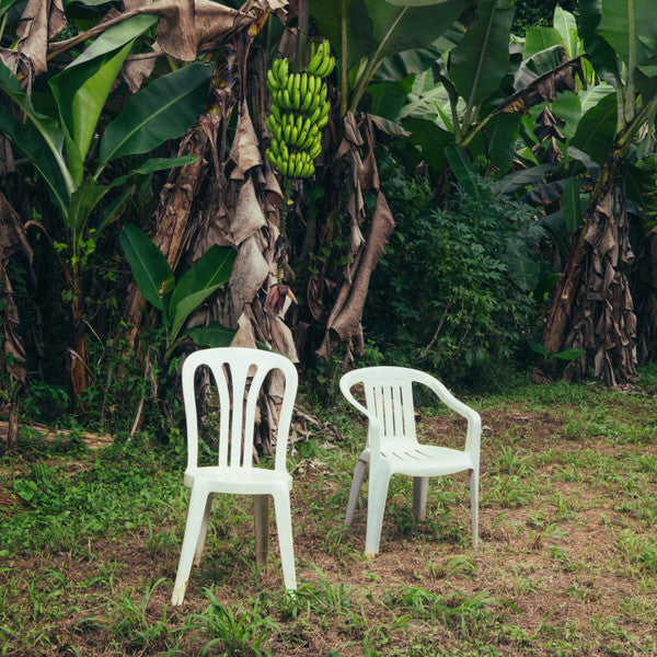 BAD BUNNY - DEBI TIRAR MAS FOTOS