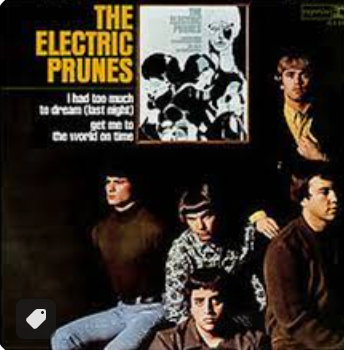 THE ELECTRIC PRUNES - I HAD TO MUCH TO DREAM