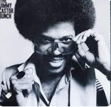 JIMMY CASTOR BUNCH - JIMMY CASTOR BUNCH