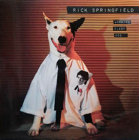 RICK SPRINGFIELD - PERRO DE CLASE TRABAJADORA