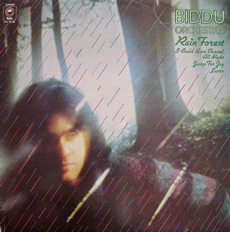 BIDDU ORCHESTRA - RAIN FOREST