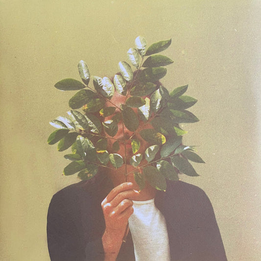 FKJ - FRENCH KIWI JUICE