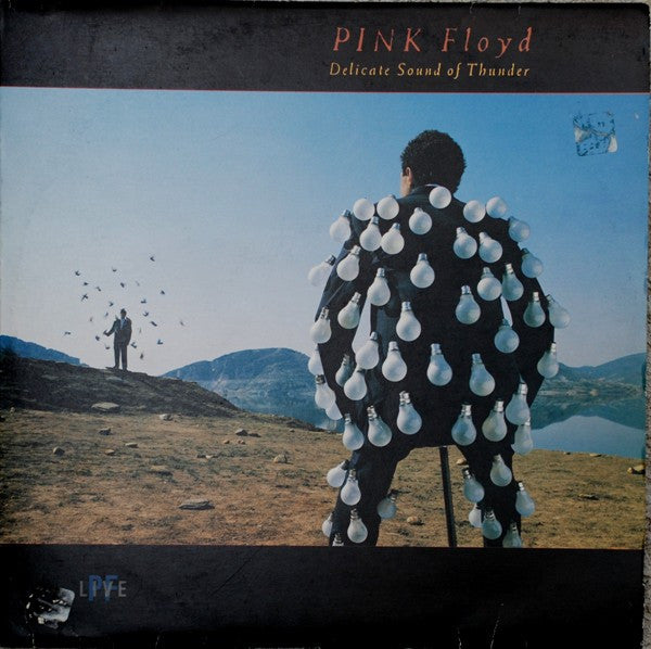 PINK FLOYD - DELICATE SOUND OF THUNDER