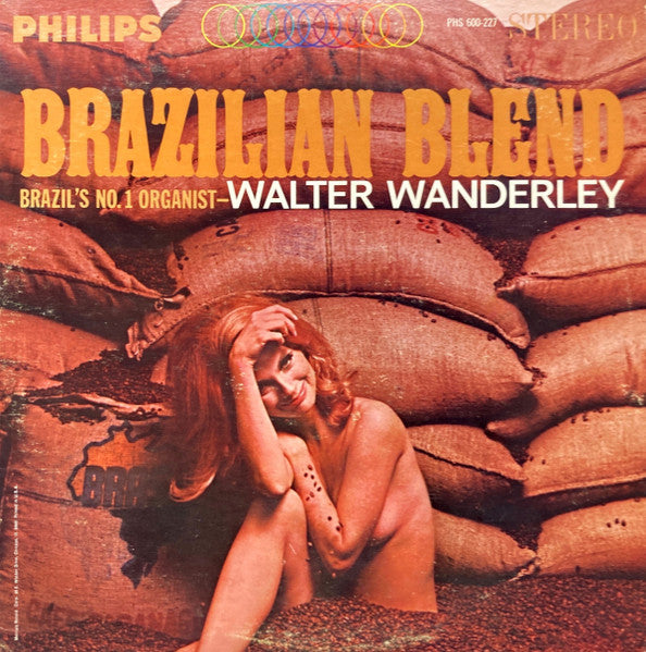 WALTER WANDERLEY - BRAZILIAN BLEND