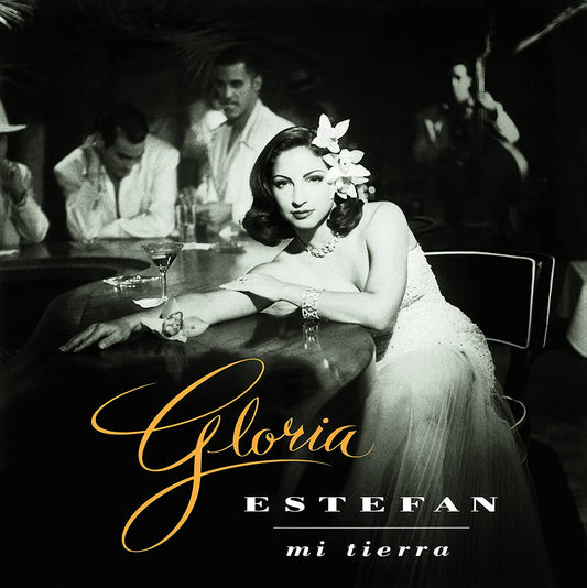 GLORIA ESTEFAN - MI TIERRA