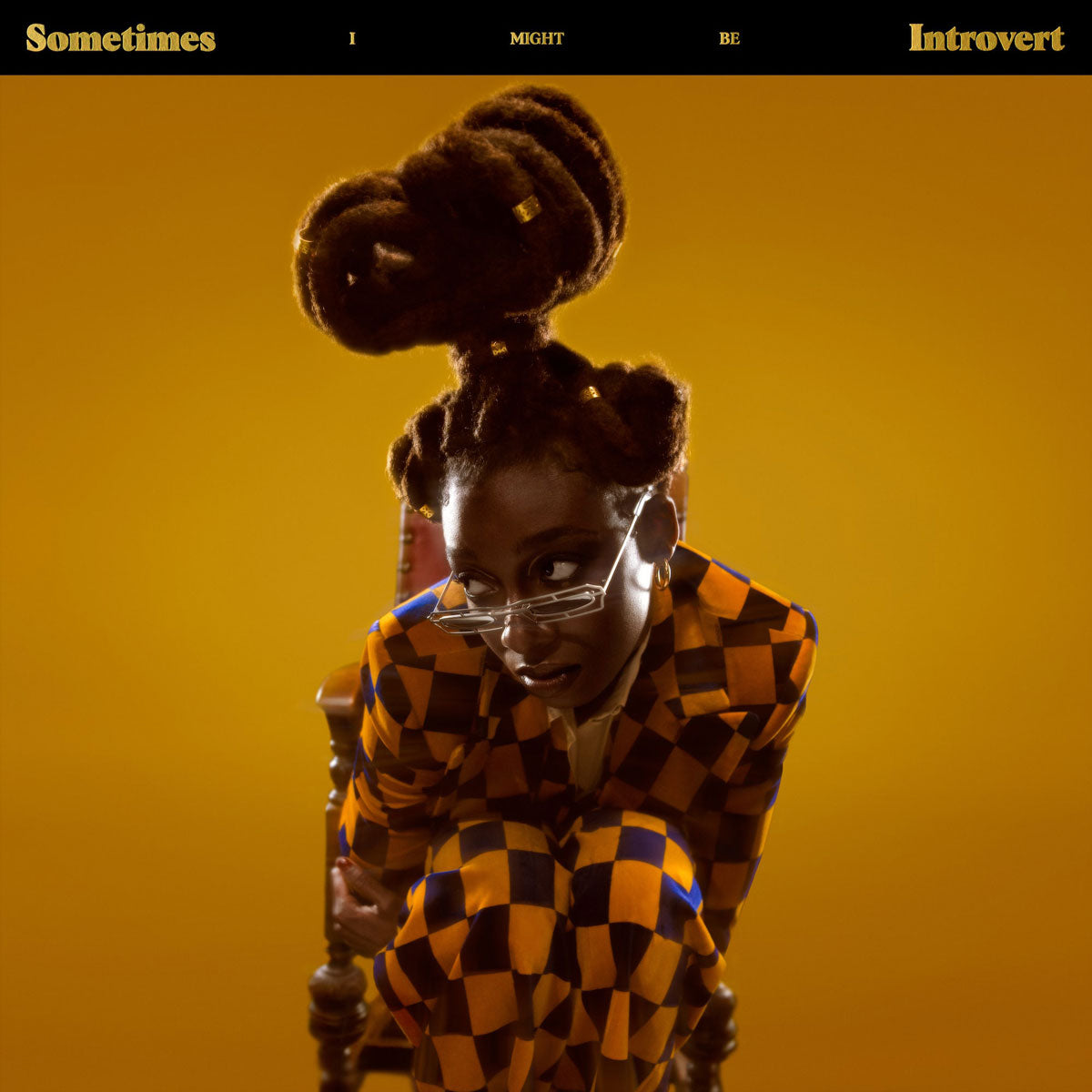 LITTLE SIMZ - SOMETIMES I MIGHT BE INTROVERT