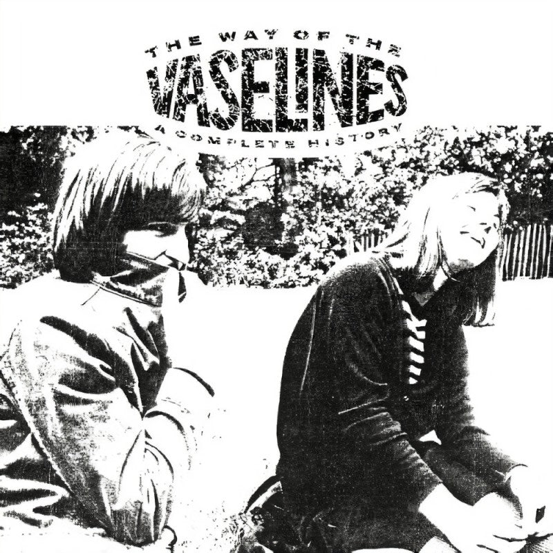 THE VASELINES - THE WAY OF VASELINES - A COMPLETE HISTORY