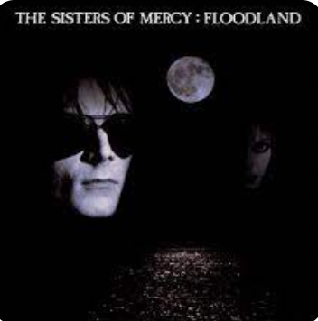 LAS HERMANAS DE LA MISERICORDIA - FLOODLAND