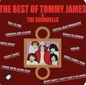 TOMMY JAMES & THE SHONDELLS - THE BEST OF