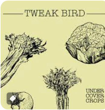 TWEAK BIRD - CULTIVOS BAJO COBERTURA