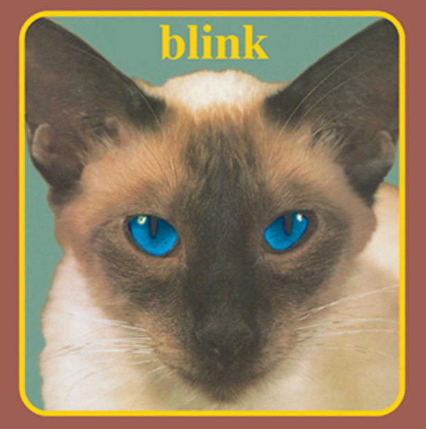 BLINK 182 - CHESHIRE CAT