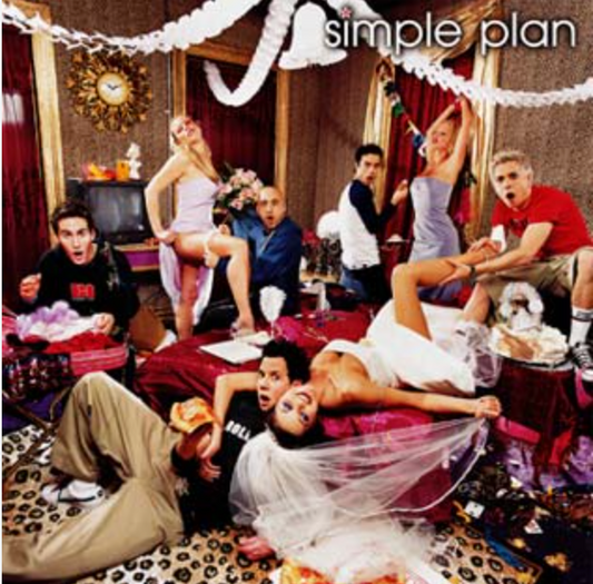 SIMPLE PLAN - NO PADS, NO HELMETS JUST BALLS